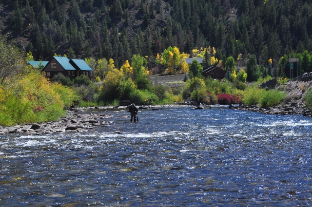 anglers in the East River in Almont